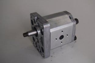 Porcellana 30, 13 mm M6 industriale Marzocchi idraulico Gear pompe BHP280-D-4 fornitore